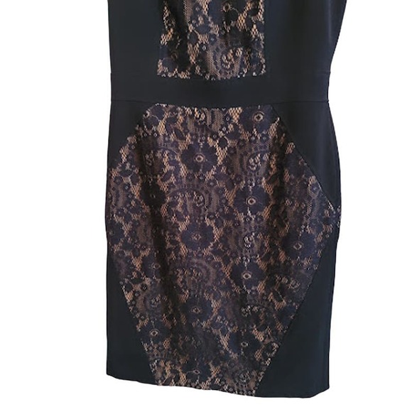 Adrianna Papell- Navy blue lace dress- size 8 - Picture 4 of 9
